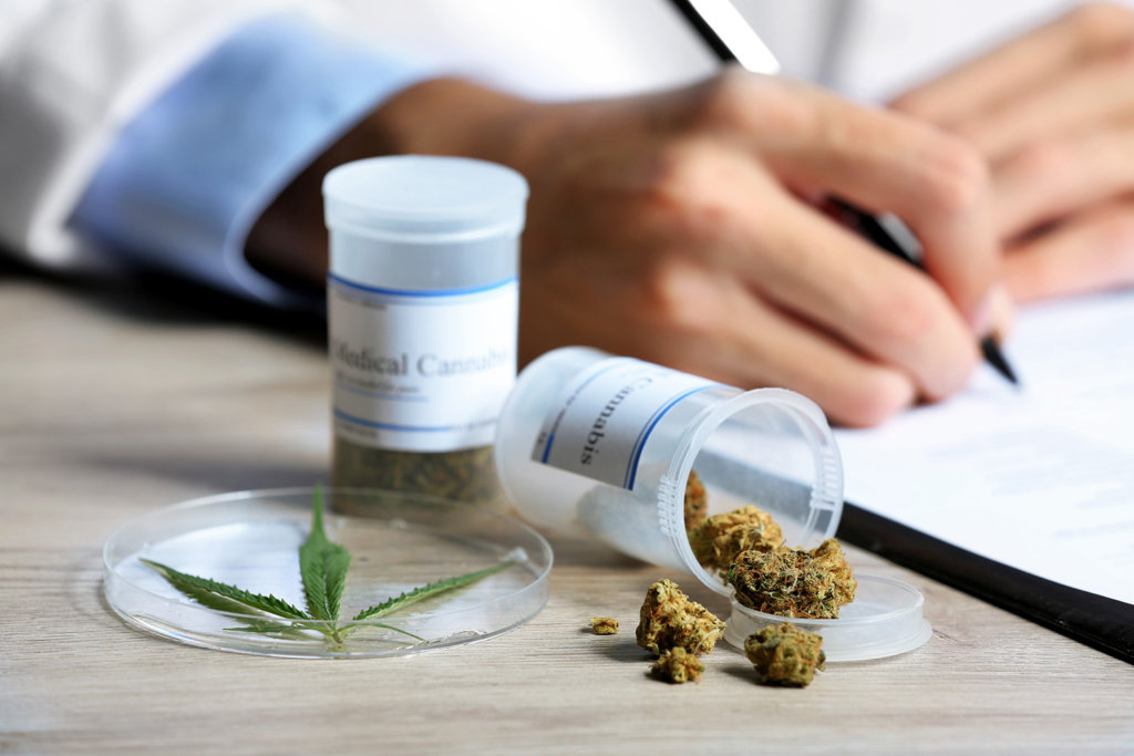 Quedó reglamentada la Ley de Cannabis Medicinal