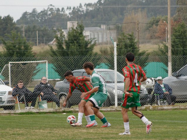 Fecha siete