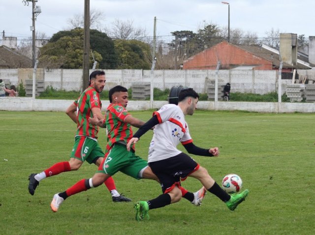 Masculino: semi domingo